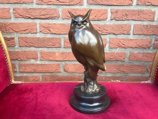 fraai bronzen beeld van een uil, Ophalen of Verzenden, Brons