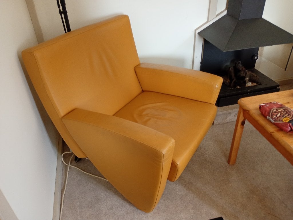 Unieke Young Design fauteuiles (2 stuks) okergeel, Ophalen, Gebruikt, 50 tot 75 cm, Leer