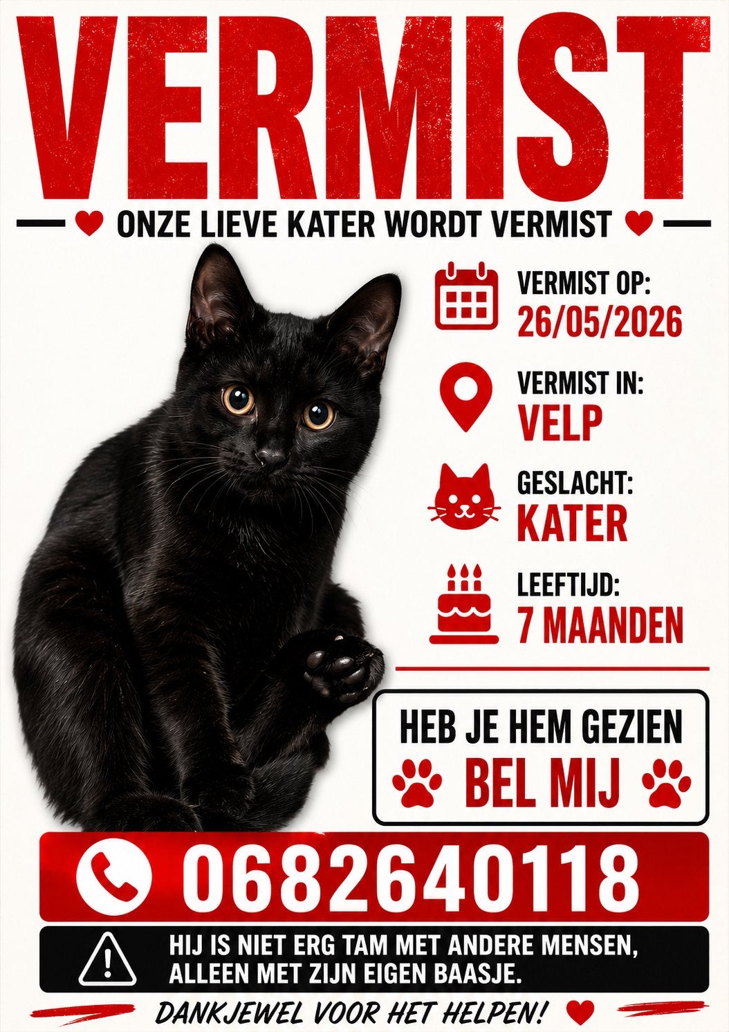 Vermist kater   (VELP )