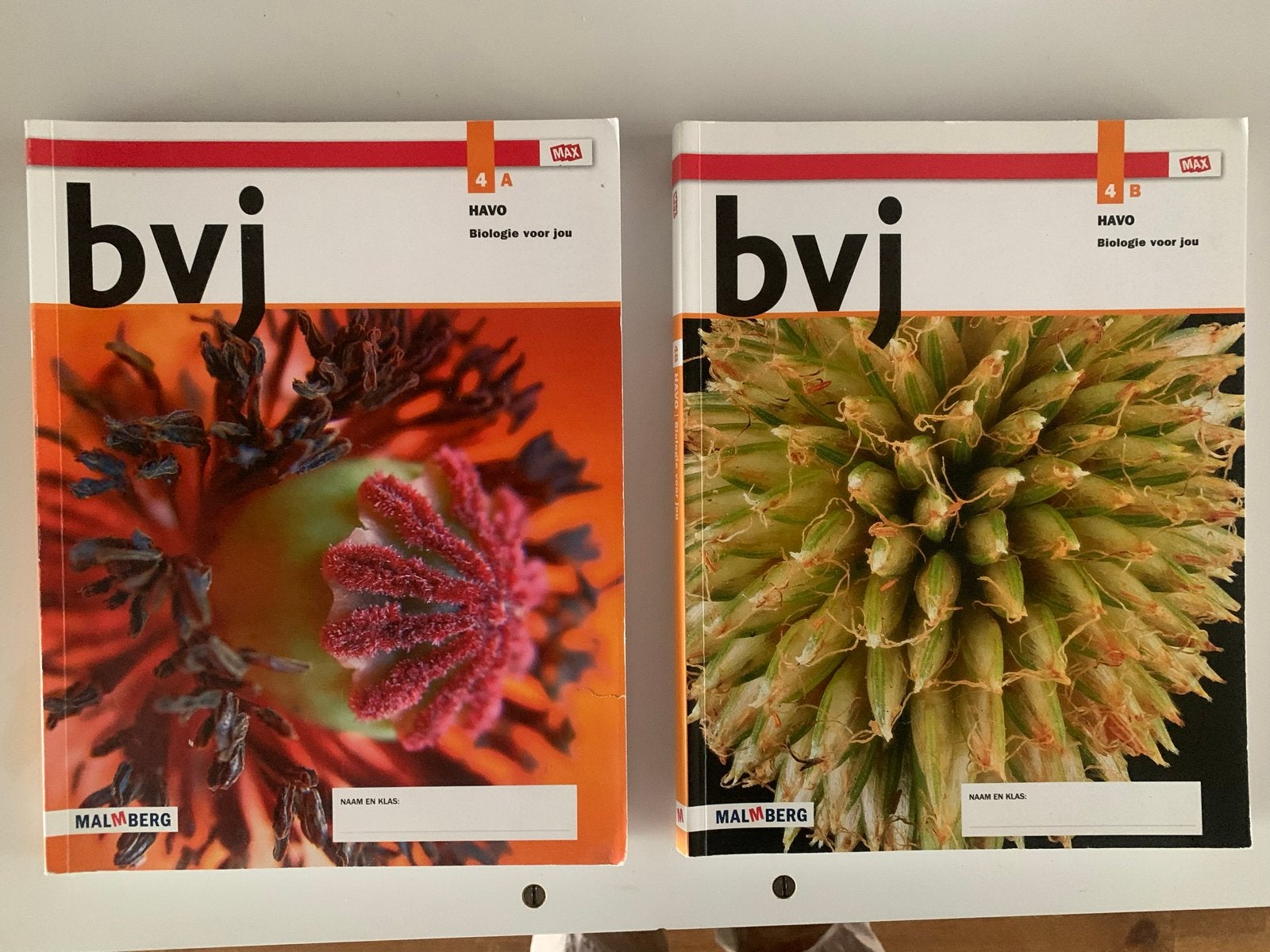 Biologie voor jou HAVO 4A en 4B - Malmberg, Ophalen of Verzenden, Gelezen, HAVO, Biologie