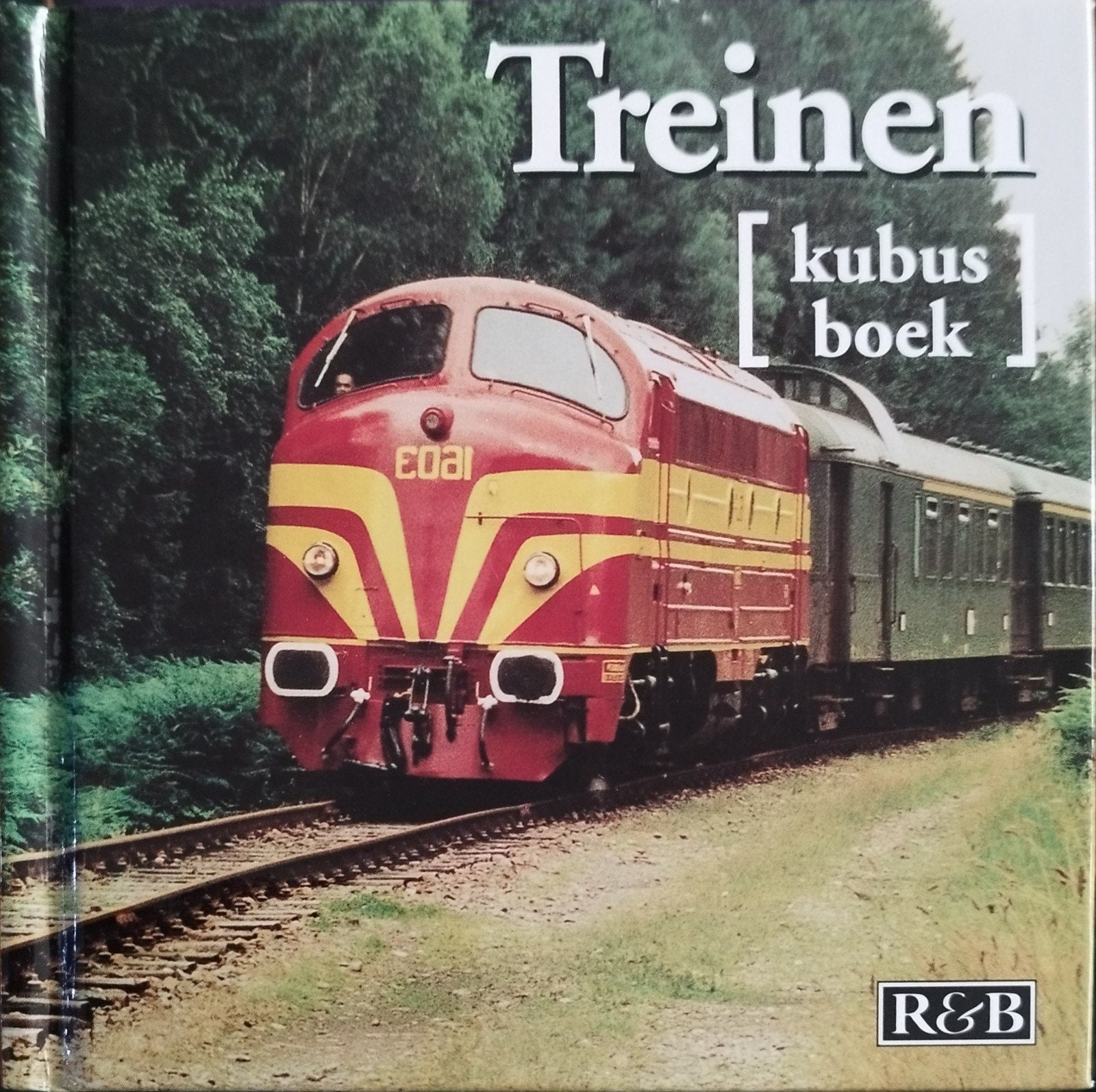 Treinen Kubus Boek - Vol op stoom!, Ophalen of Verzenden, Nieuw, R&B, Trein