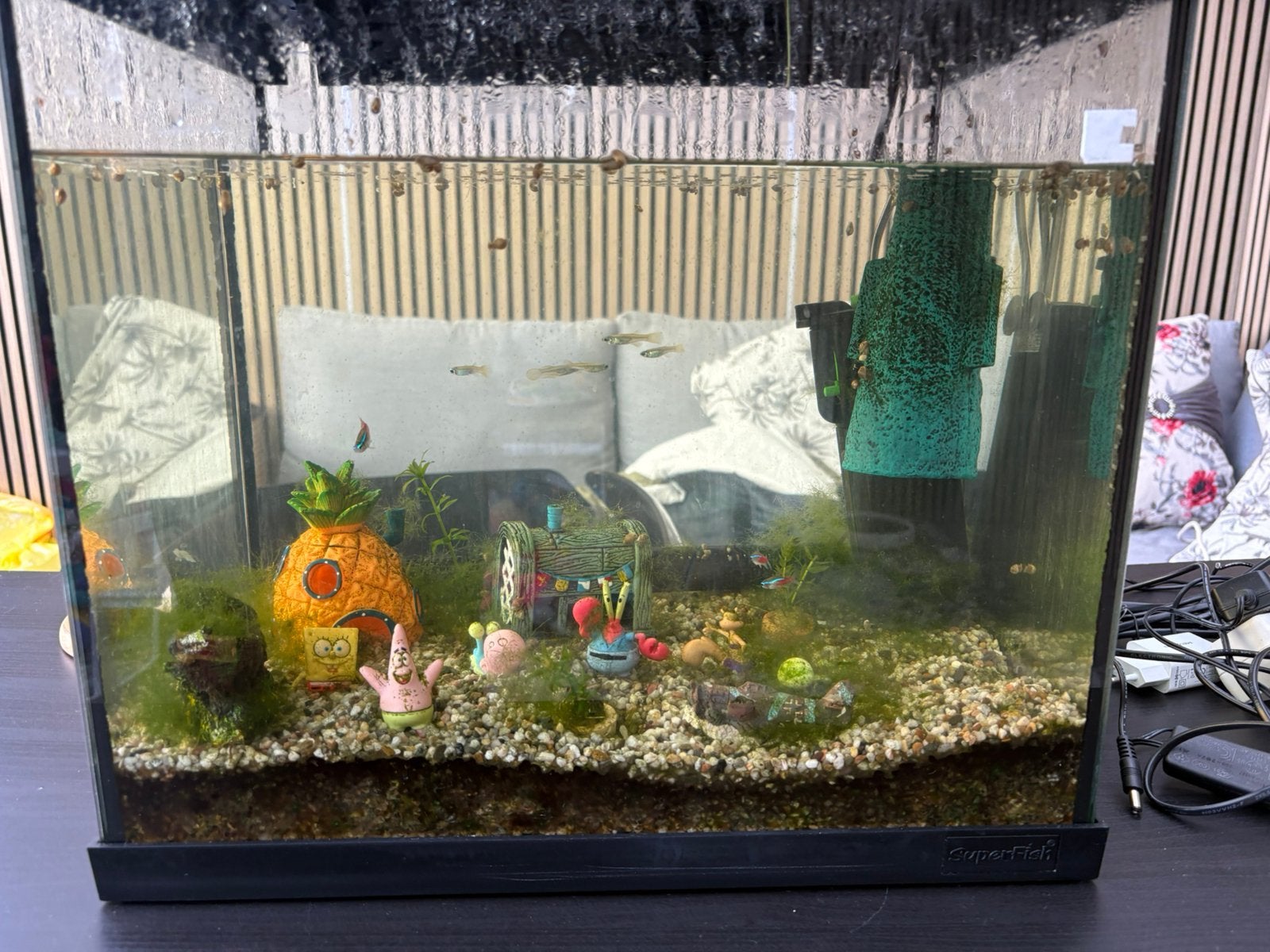 Leuke aquarium, Ophalen, Zo goed als nieuw, Gevuld zoetwateraquarium
