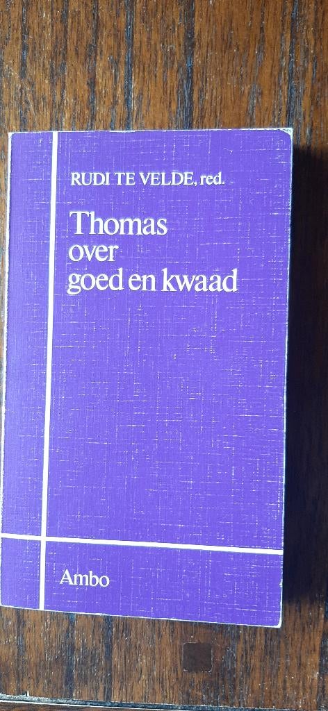Thomas over goed en kwaad  Rudi te Velde, Boeken, Ophalen of Verzenden, Zo goed als nieuw, Praktische filosofie