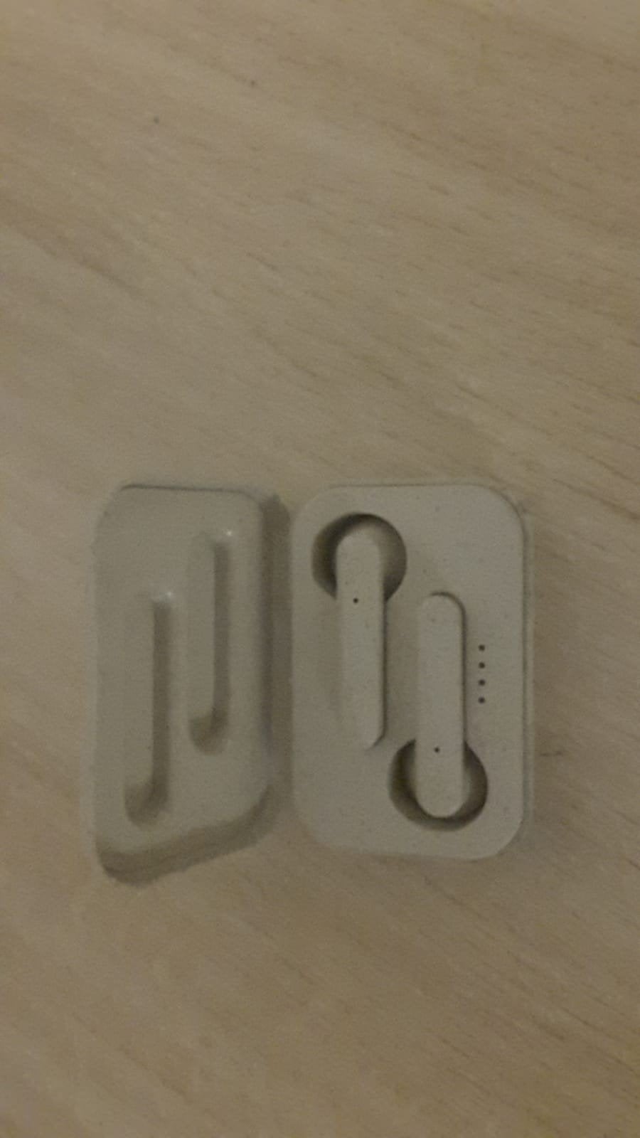 BauWatch Draadloze Oordopjes met Oplaadcase