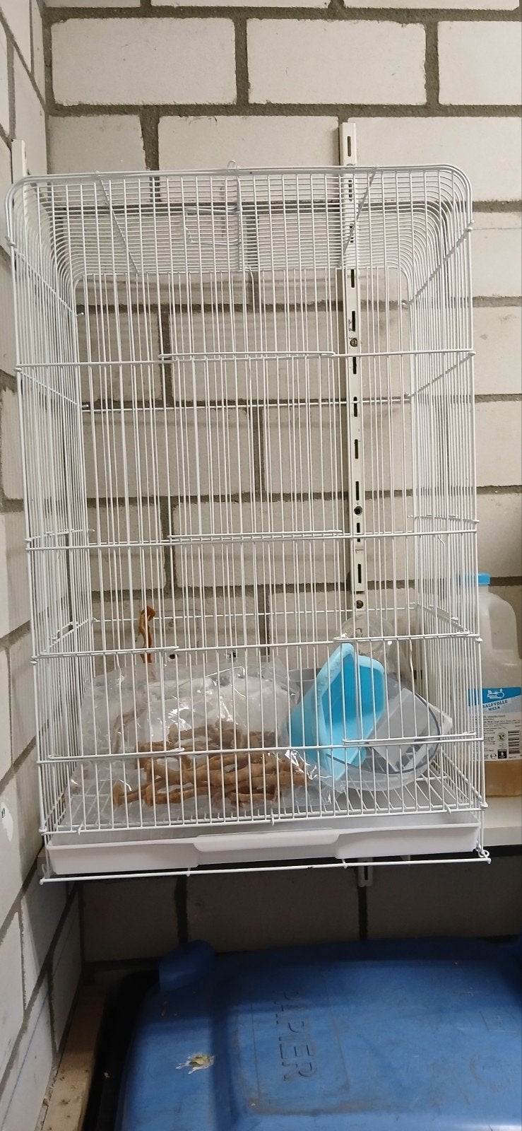 nieuwe kooi, Ophalen, Nieuw, Metaal, Vogelkooi