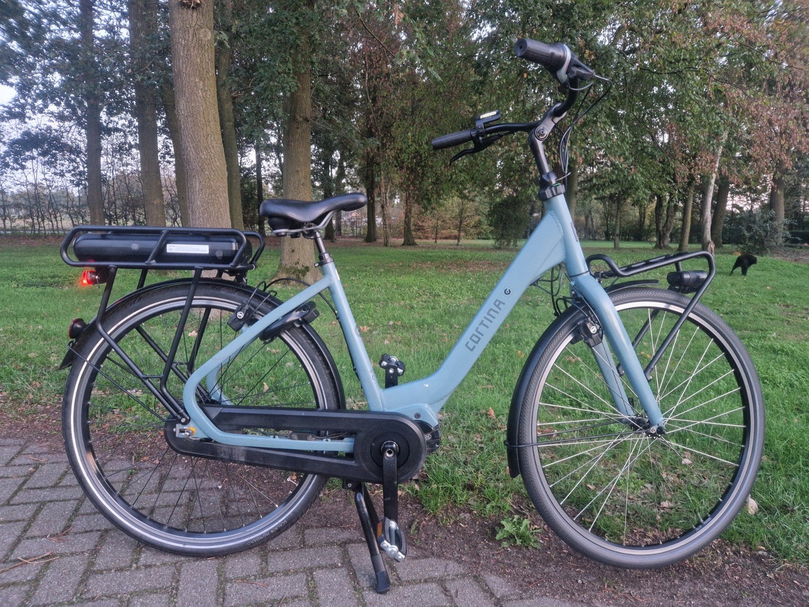 Cortina Common 50 cm zeer goede staat met garantie, Ophalen