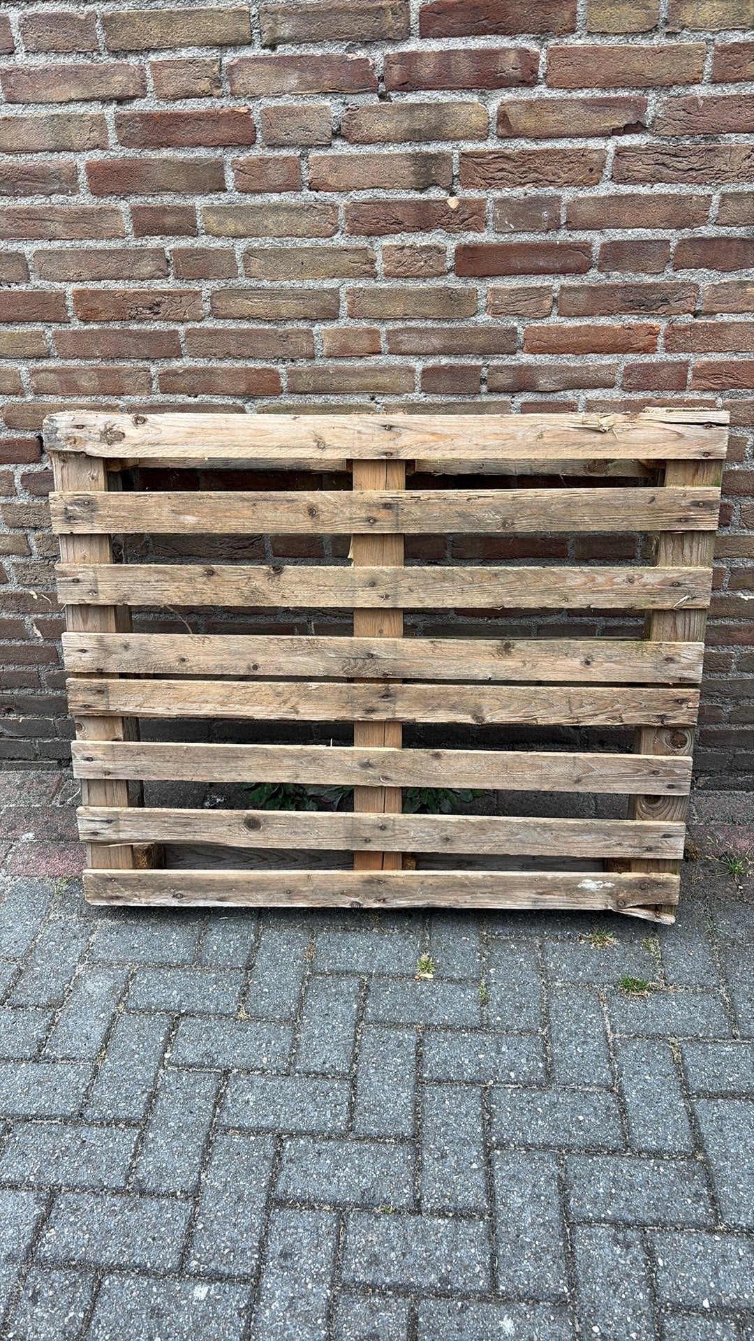 Gratis pallet / brandhout, Ophalen, Gebruikt, Pallet, Minder dan 200 cm