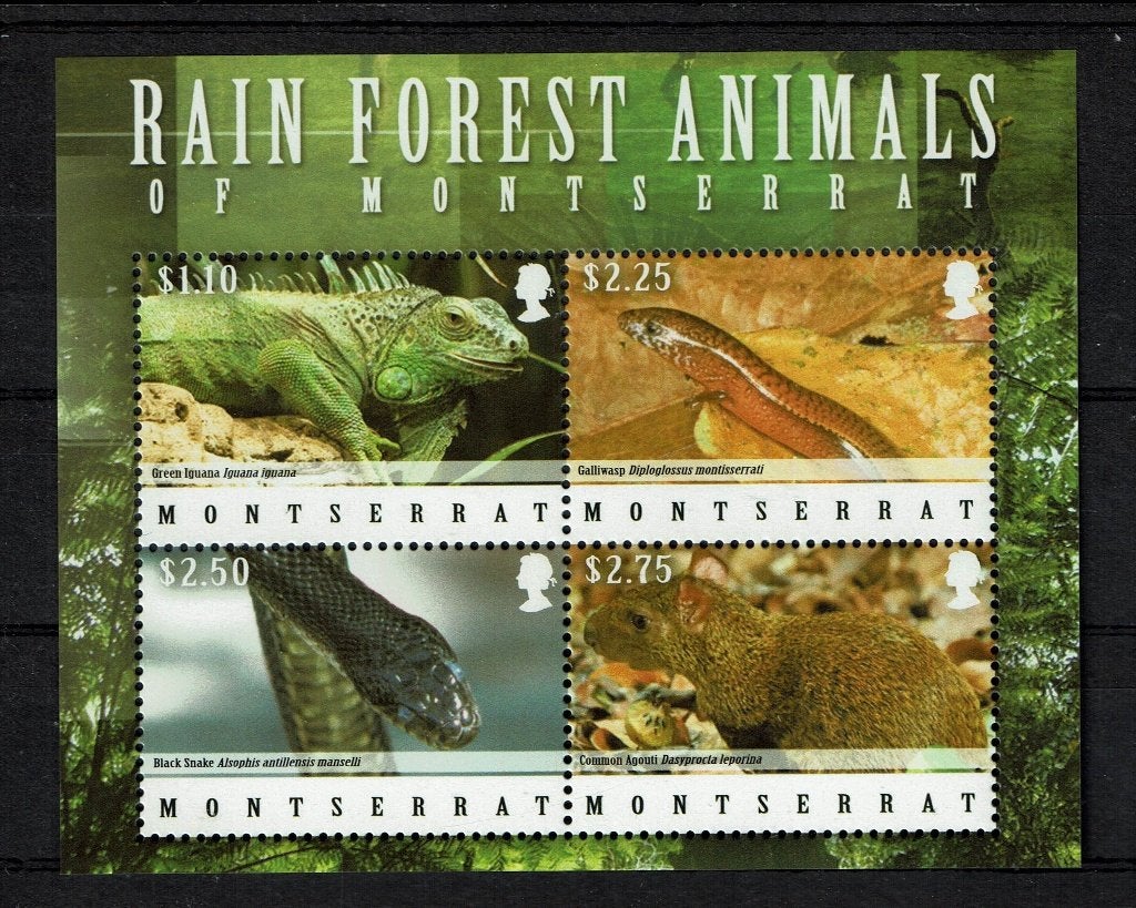 MONTSERRAT  PF BLOK WILDLIFE REPTIELEN ZOOGDIEREN HAGEDISSEN, Ophalen of Verzenden, Postfris, Dier of Natuur