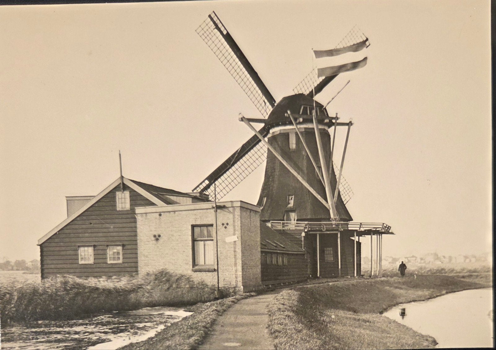 zaandam molen het Zwarte Kalf, Ophalen of Verzenden, Voor 1940, Zo goed als nieuw