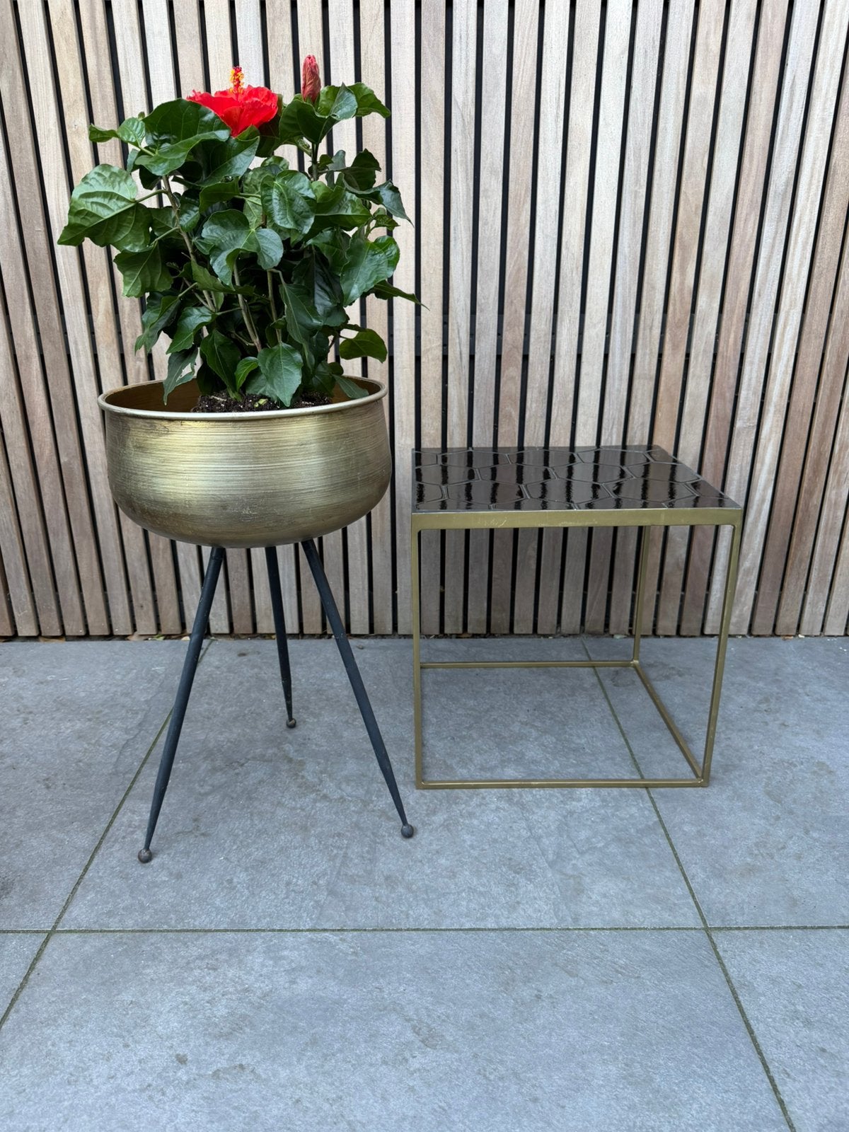 Bijzettafel hexagon en goud plantenstandaard, Huis en Inrichting, Tafels | Bijzettafels, Minder dan 55 cm, Gebruikt, Metaal of Aluminium