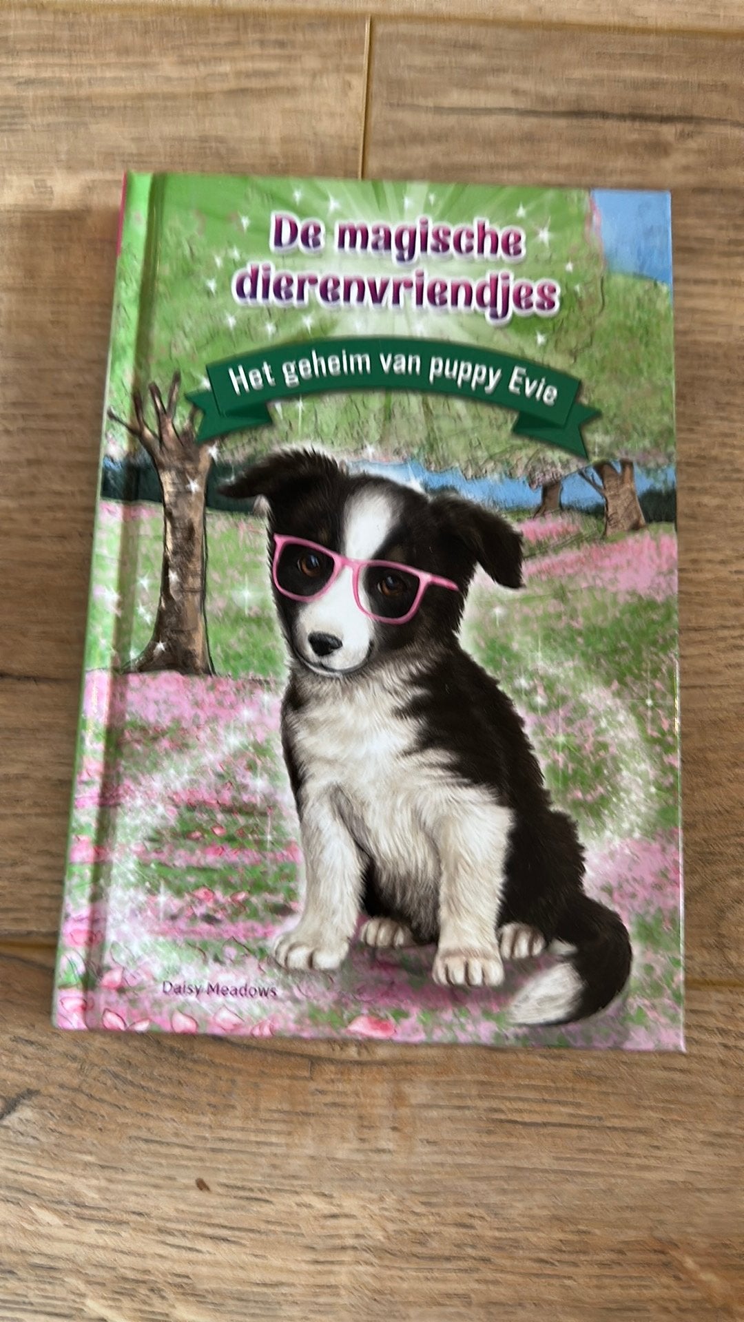 De magische dierenvriendjes het geheim van evie, Boeken, Kinderboeken | Jeugd | onder 10 jaar, Ophalen of Verzenden, Zo goed als nieuw
