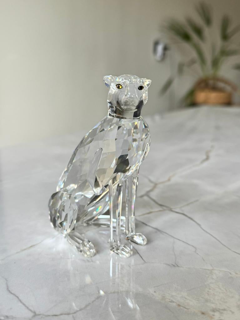Swarovski Cheetah / zittend luipaard kristal – retired model, Verzamelen, Swarovski, Ophalen, Nieuw, Figuurtje