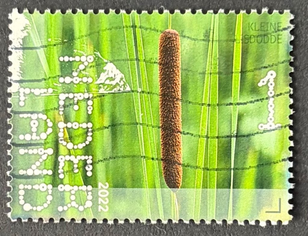 Postzegel Nederland Lisdodde beleef de natuur, Postzegels en Munten, Ophalen of Verzenden, Na 1940, Gestempeld