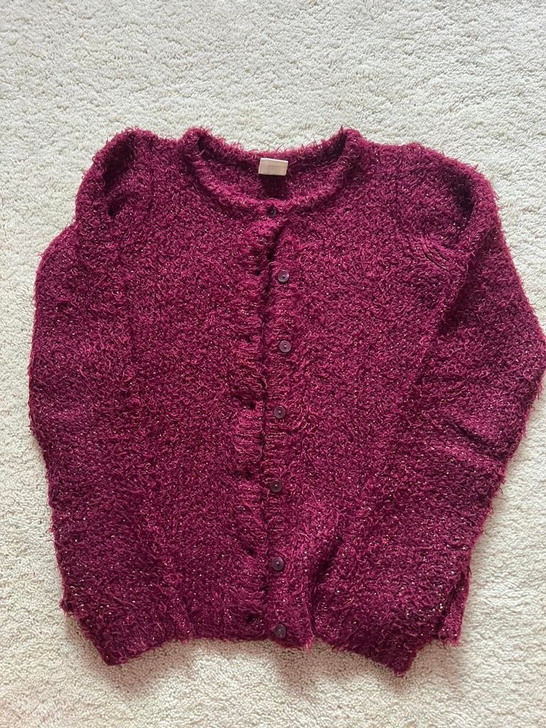 Rood vest 134/140, Kinderen en Baby's, Kinderkleding | Maat 134, Ophalen of Verzenden, Zo goed als nieuw, Meisje, Trui of Vest