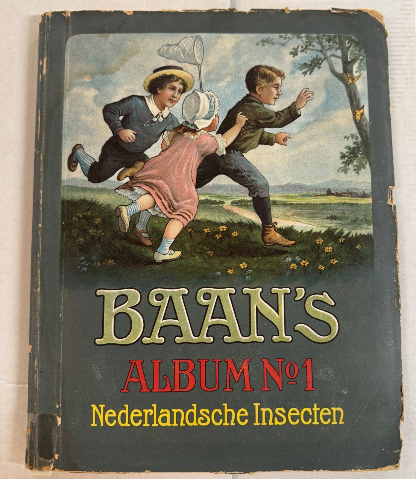 J.C. Baan & Co Alkmaar -  Nederlandsche insecten album compl, Ophalen of Verzenden, Gelezen, Catalogus