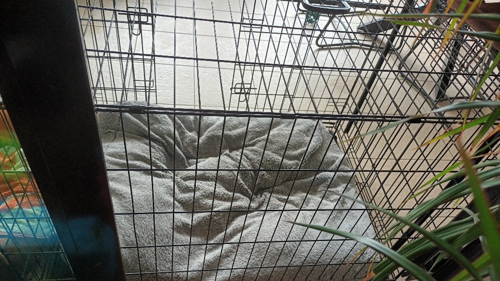 Hondenbench, Dieren en Toebehoren, Ophalen, Zo goed als nieuw