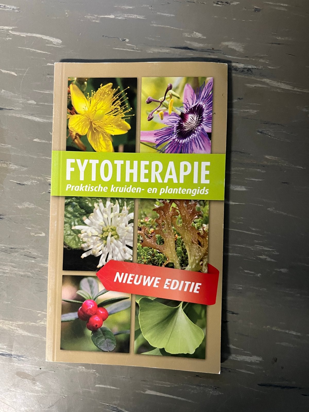 Fytotherapie: Praktische kruiden- en plantengids (Nieuwe Edi, Boeken, Ophalen of Verzenden, Zo goed als nieuw, Kruiden en Alternatief