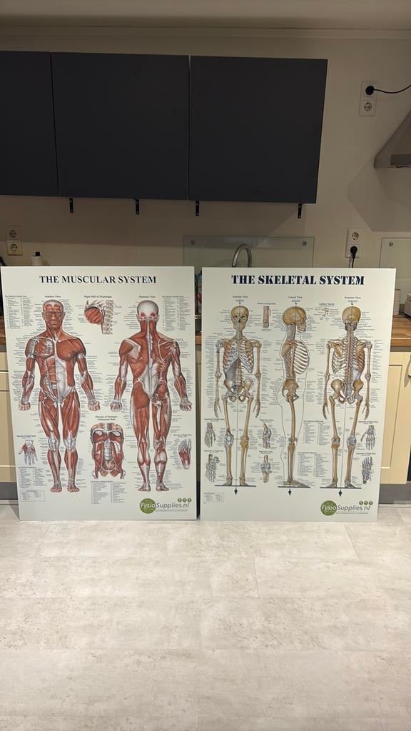 Anatomische posterplaten aluminium 118x84 cm, Ophalen, Nieuw