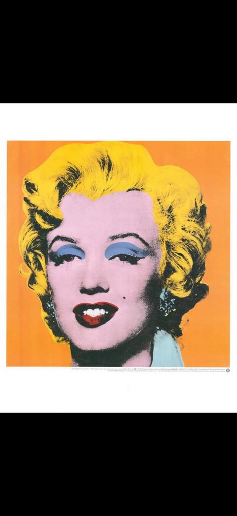 Marylin Monroe door Andy Warhol, Ophalen of Verzenden