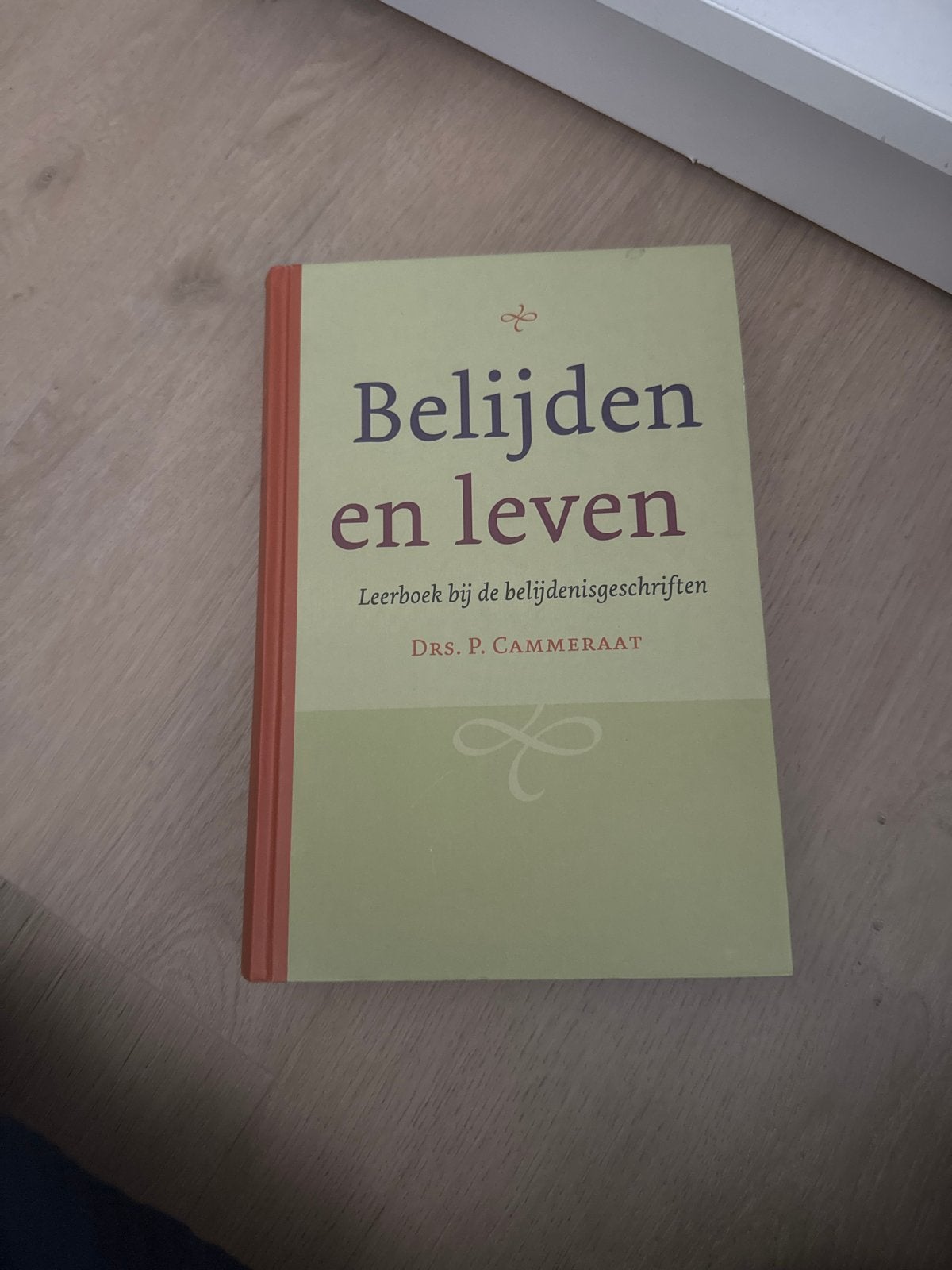 Belijden en leven - Drs. P. Cammeraat, Boeken, Godsdienst en Theologie, Ophalen of Verzenden, Gelezen, Christendom | Protestants