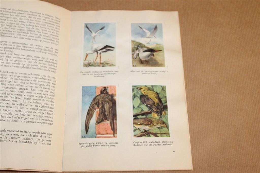 Dieren als Toeristen — Compleet, 32 Plaatjes 1953 Tolman, Ophalen of Verzenden, Gelezen