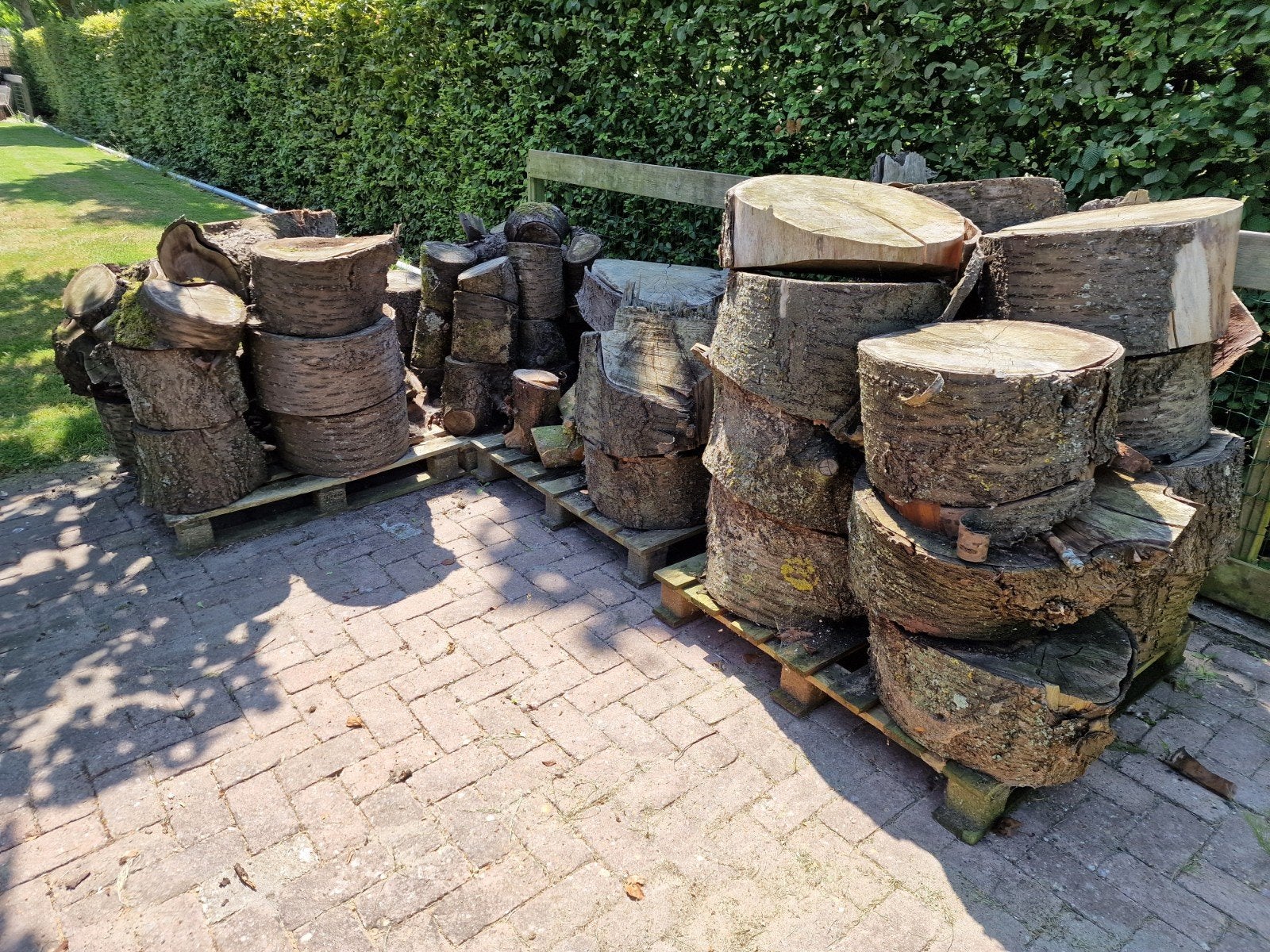 Boomstammen wilde kers - nog te kloven brandhout, Tuin en Terras, Haardhout, Minder dan 3 m³, Ophalen, Overige houtsoorten, Stammen