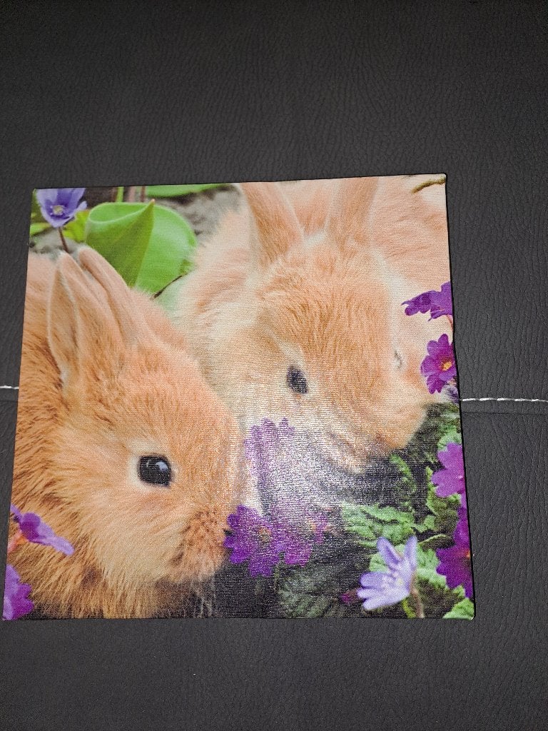 Canvasdoek konijntjes, Minder dan 50 cm, Ophalen of Verzenden, Zo goed als nieuw, Schilderij