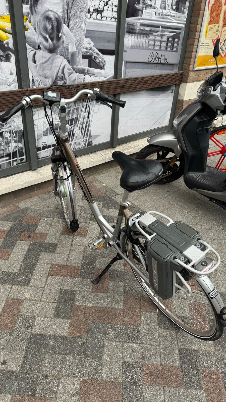 Giant Twist Go Double Electric Bike