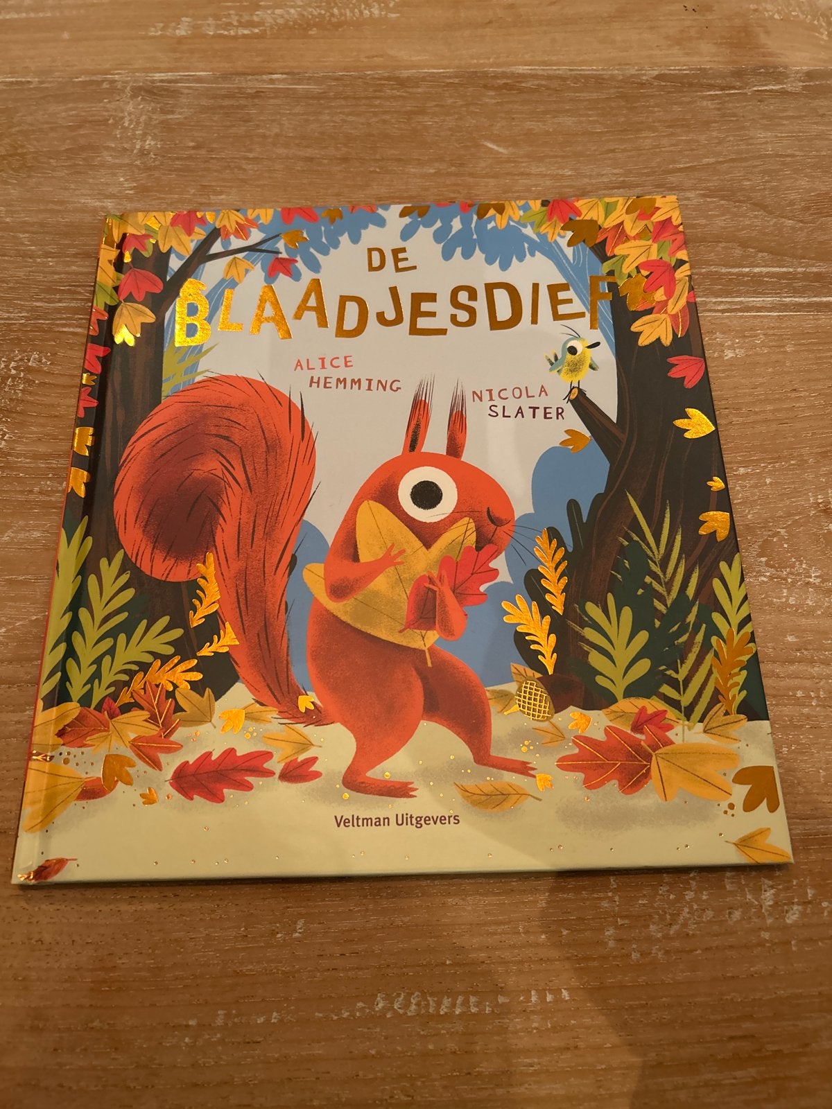 De Blaadjesdief - Alice Hemming & Nicola Slater, Ophalen of Verzenden, Zo goed als nieuw, 2 tot 3 jaar
