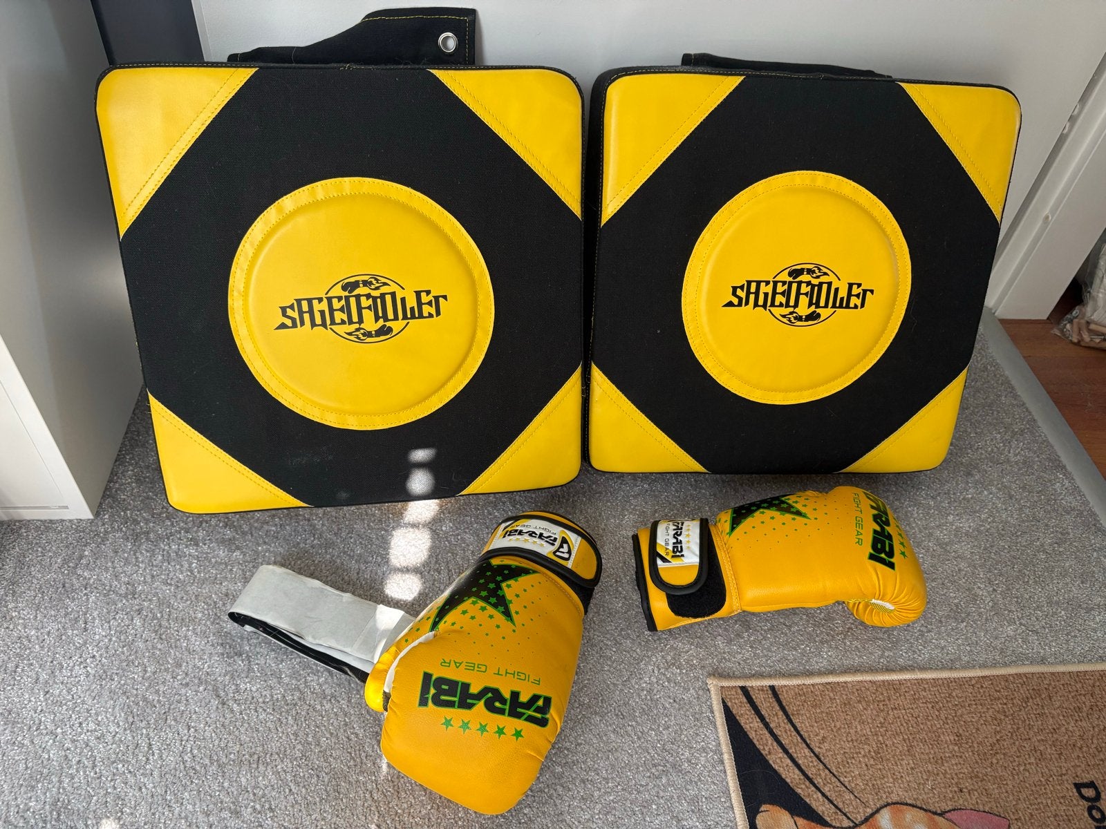 Bokshandschoenen en trapkussens - Farabi en ShieldRuler, Sport en Fitness, Ophalen, Gebruikt, Overige, Vechtsportbescherming