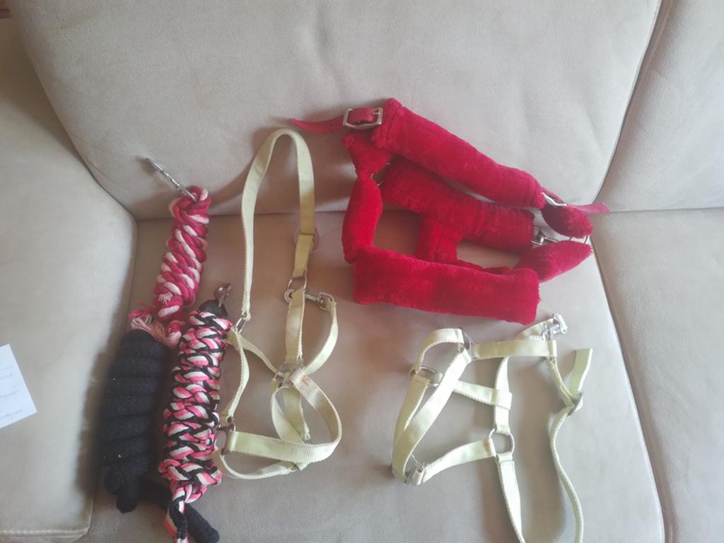 Halsters en halstertouwen, Dieren en Toebehoren, Ophalen of Verzenden