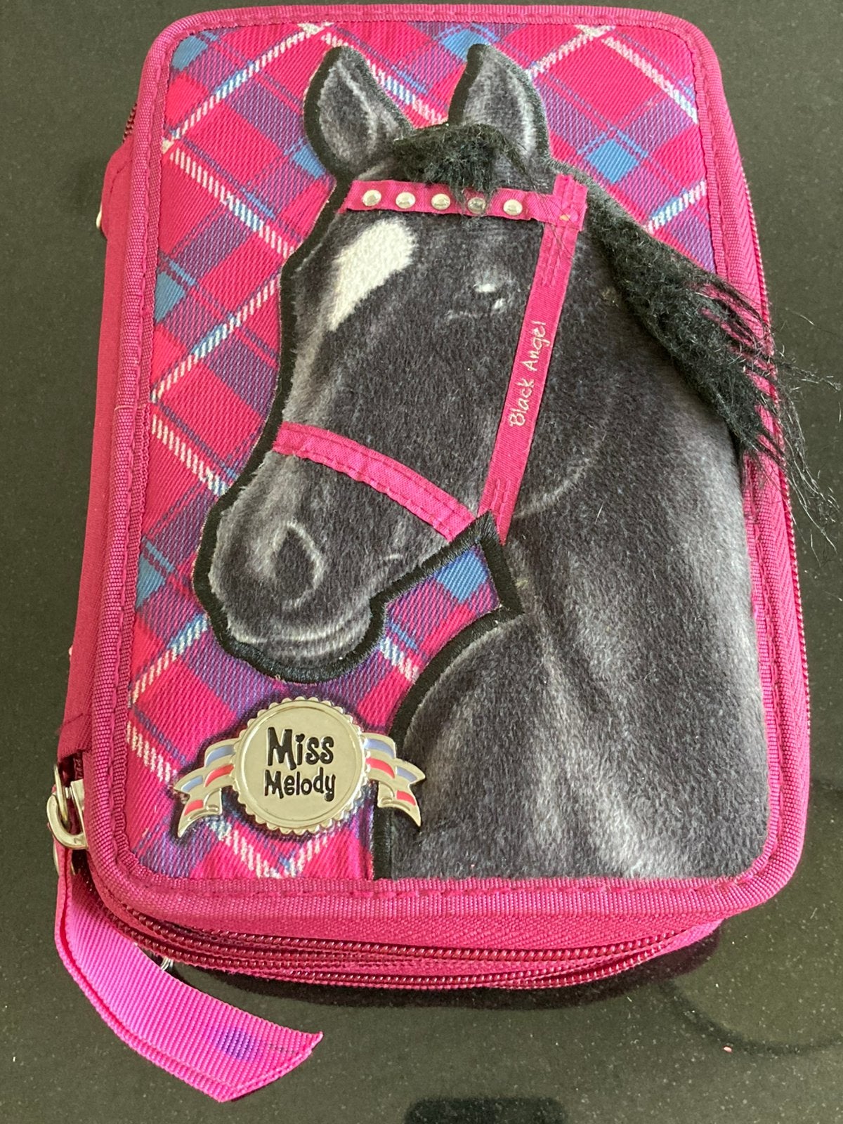 Paarden etui miss melody, Ophalen of Verzenden, Zo goed als nieuw