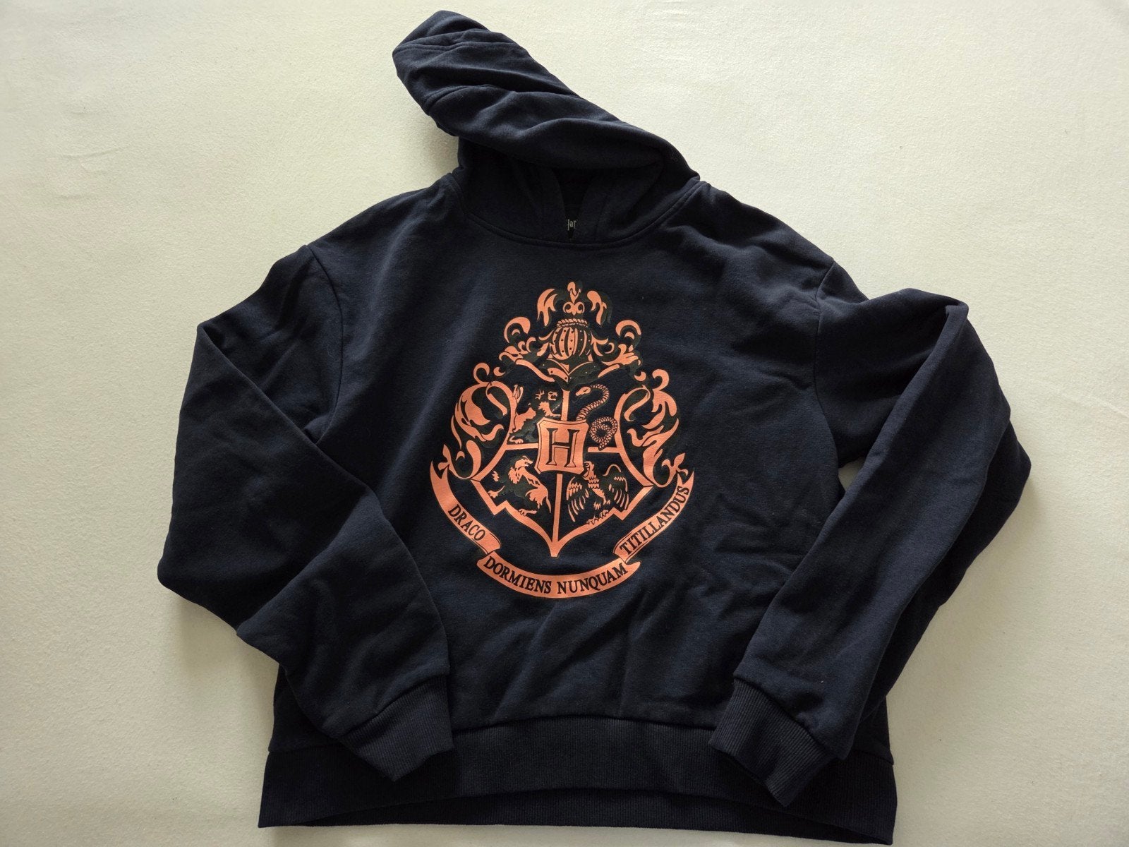 Harry Potter truien maat 158/164, Ophalen of Verzenden, Gebruikt, Meisje, Trui of Vest