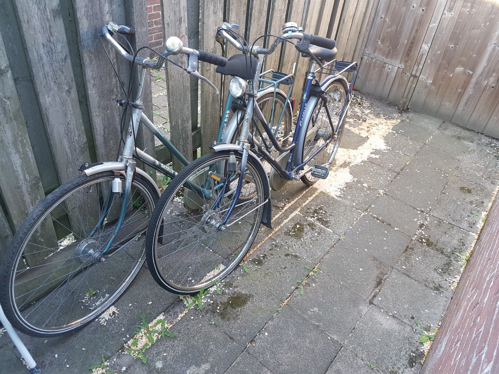 Gazelle primeur blauwe fiets -opknap, Ophalen, Gebruikt, Versnellingen, 56 cm of meer