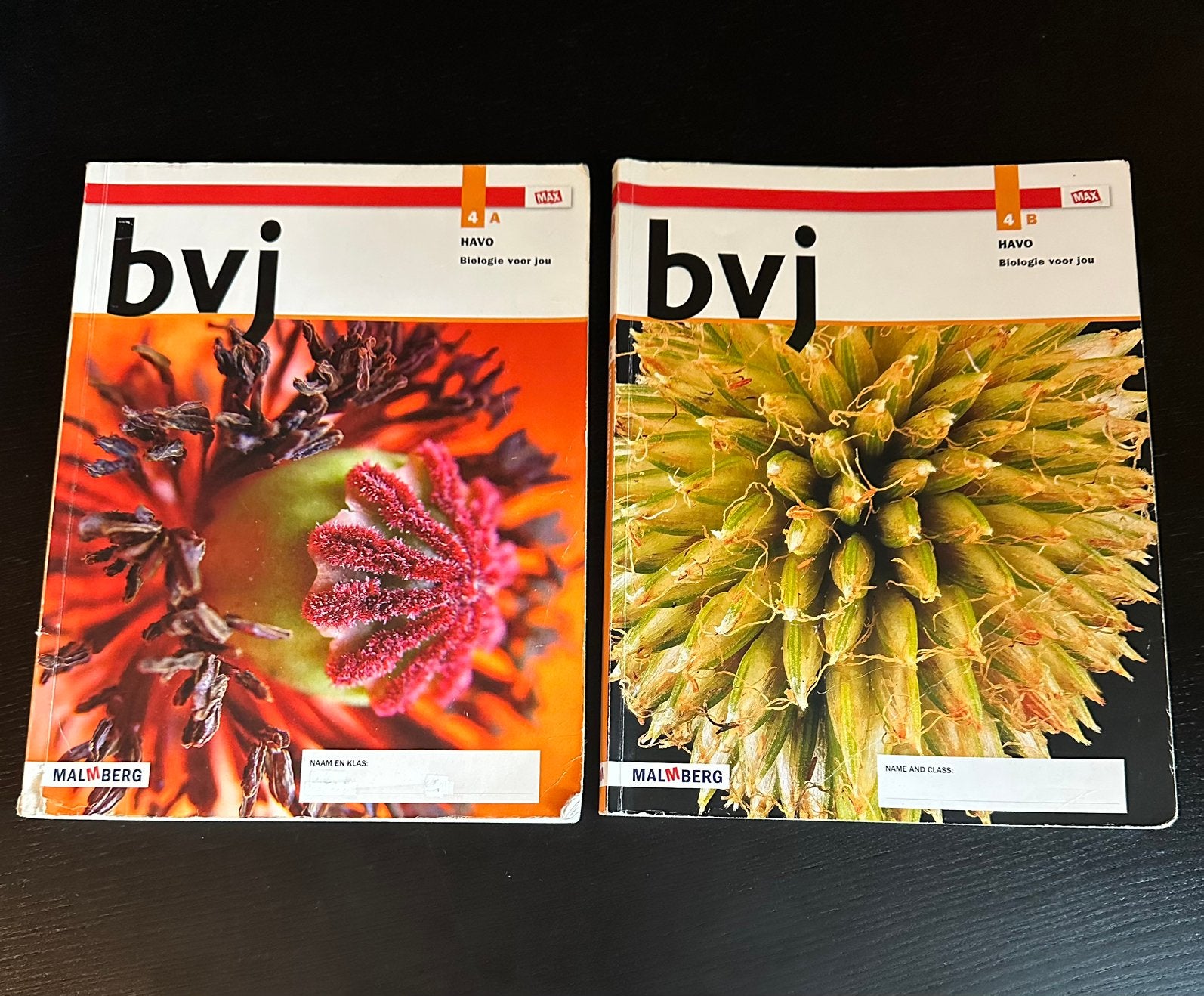 Biologie 4 Havo boek A en B, Boeken, Schoolboeken, Ophalen, Zo goed als nieuw, HAVO, Biologie
