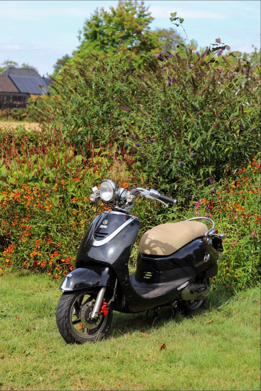 Sym Cello Scooter - te koop of ruilen tegen tomos, Fietsen en Brommers, Scooters | SYM, Ophalen, Gebruikt, Overige modellen, Maximaal 45 km/u
