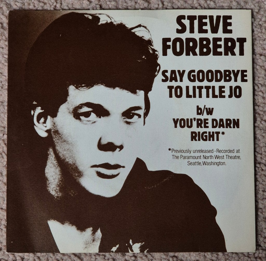 Steve Forbert – Say Goodbye To Little Jo, Ophalen of Verzenden, Gebruikt, Pop
