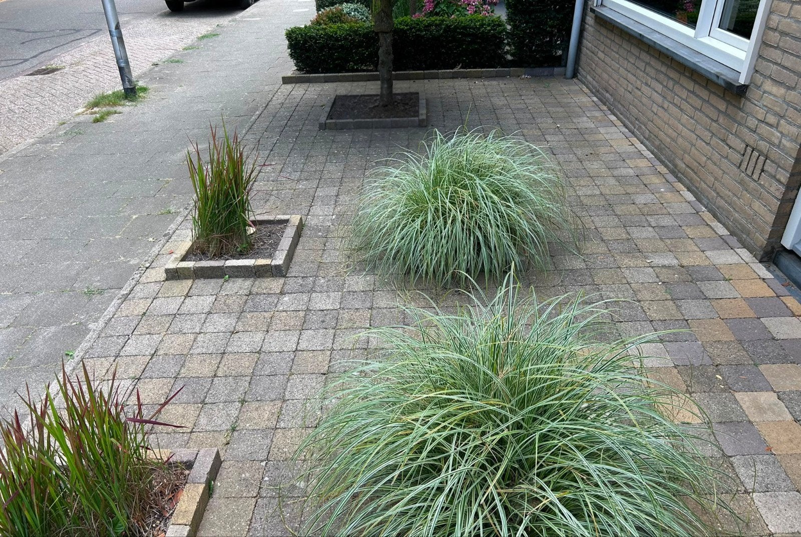 Klinkers tuin te koop!, Tuin en Terras, Tegels en Klinkers, Ophalen, Gebruikt, Klinkers, 10 m² of meer