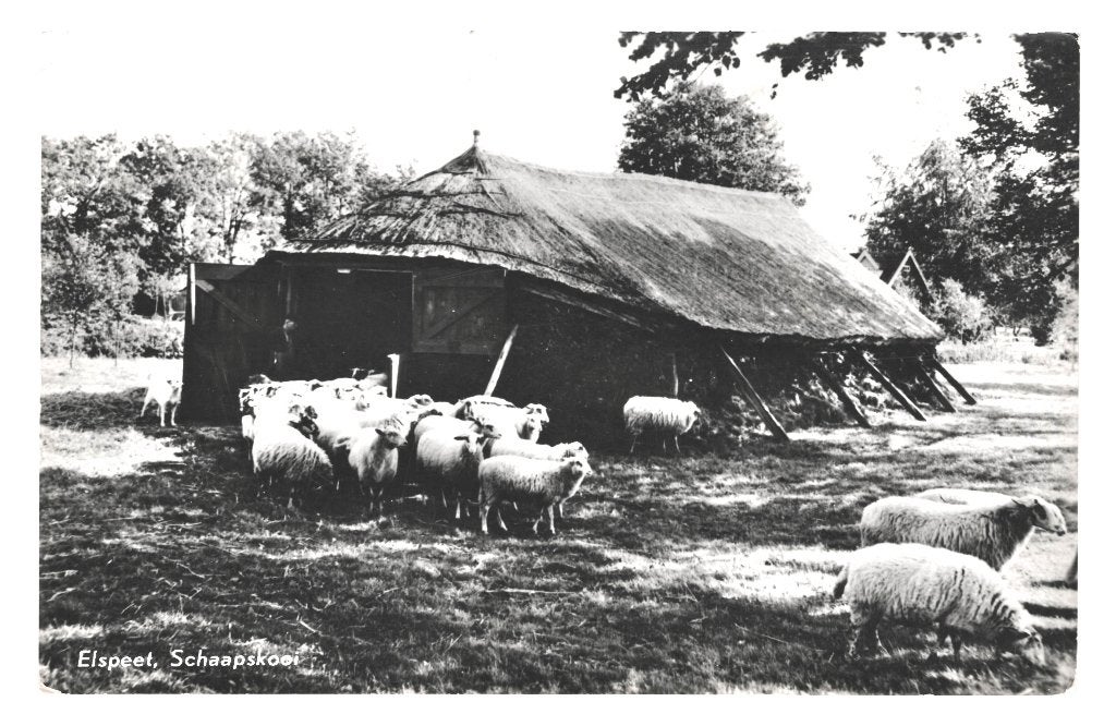 968613	Elspeet	Gld 1964 Schaapskooi	gelopen