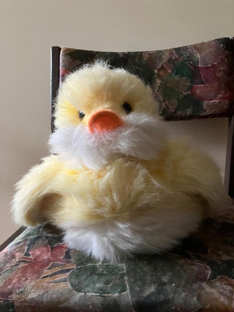 Knuffels eend (nieuw), Ophalen of Verzenden, Nieuw, Eend