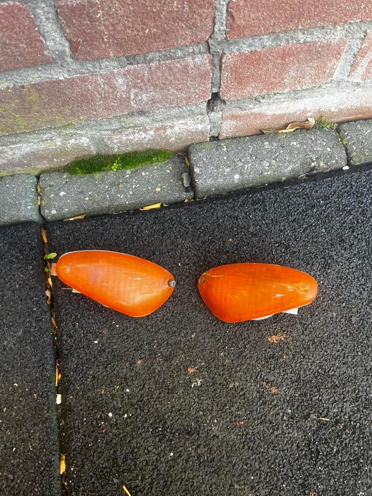 Gilera runner knipperlichten, Ophalen of Verzenden, Zo goed als nieuw, Overige typen