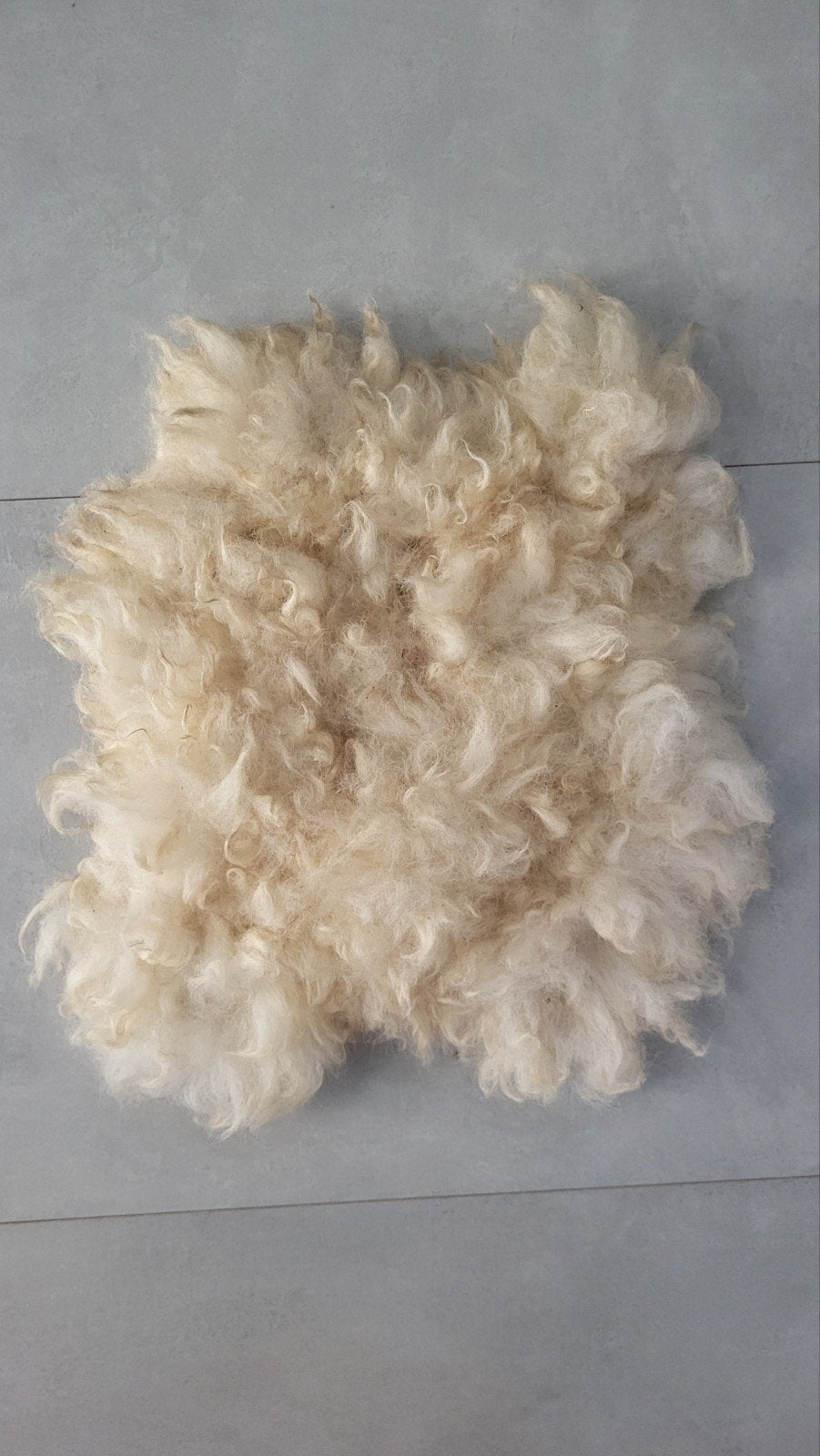 Schapenvachtje voor hondje of kat, Ophalen of Verzenden, Nieuw, Spinwol
