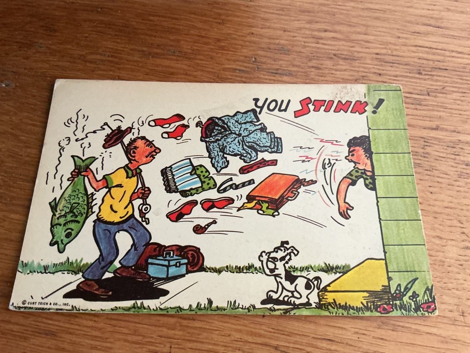 D87 you stink hengelsport uitgever  Curt Teich hond humor, Ophalen of Verzenden, Overige thema's