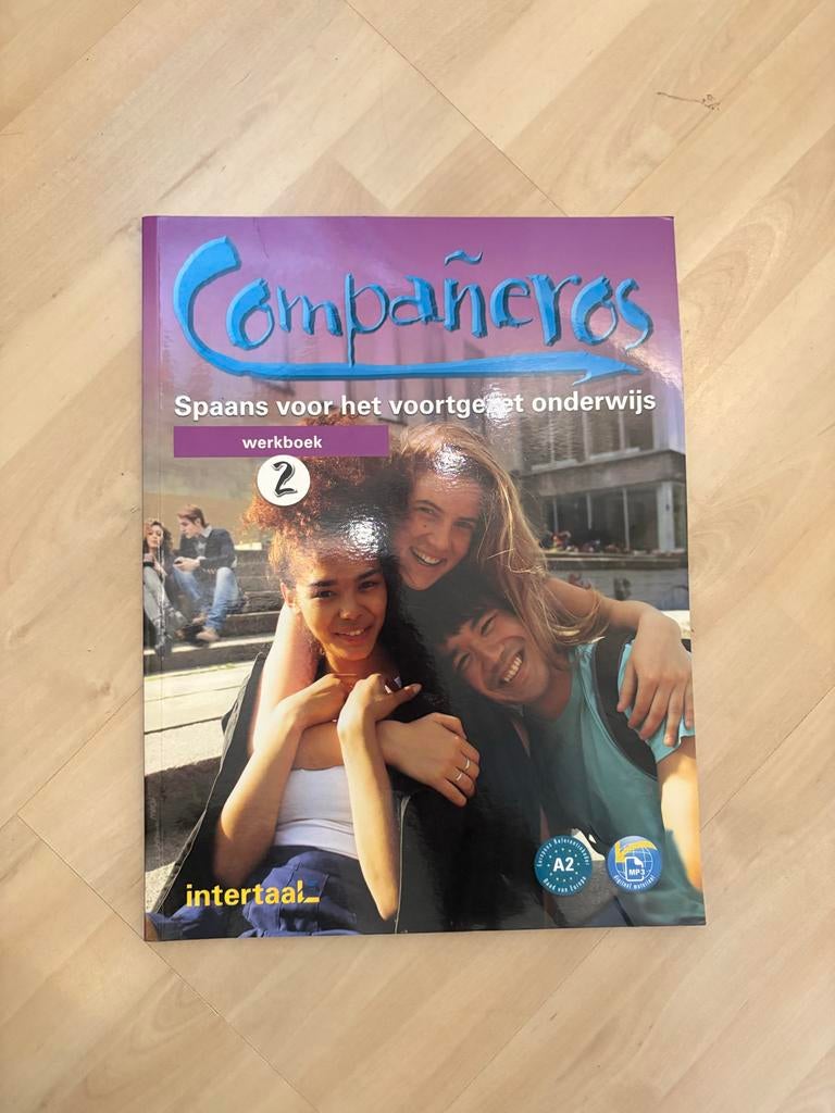 Companeros spaans Werkboek, Boeken, Overige vakken, Ignacio Rodero; Francisca Castro, Ophalen of Verzenden, Zo goed als nieuw