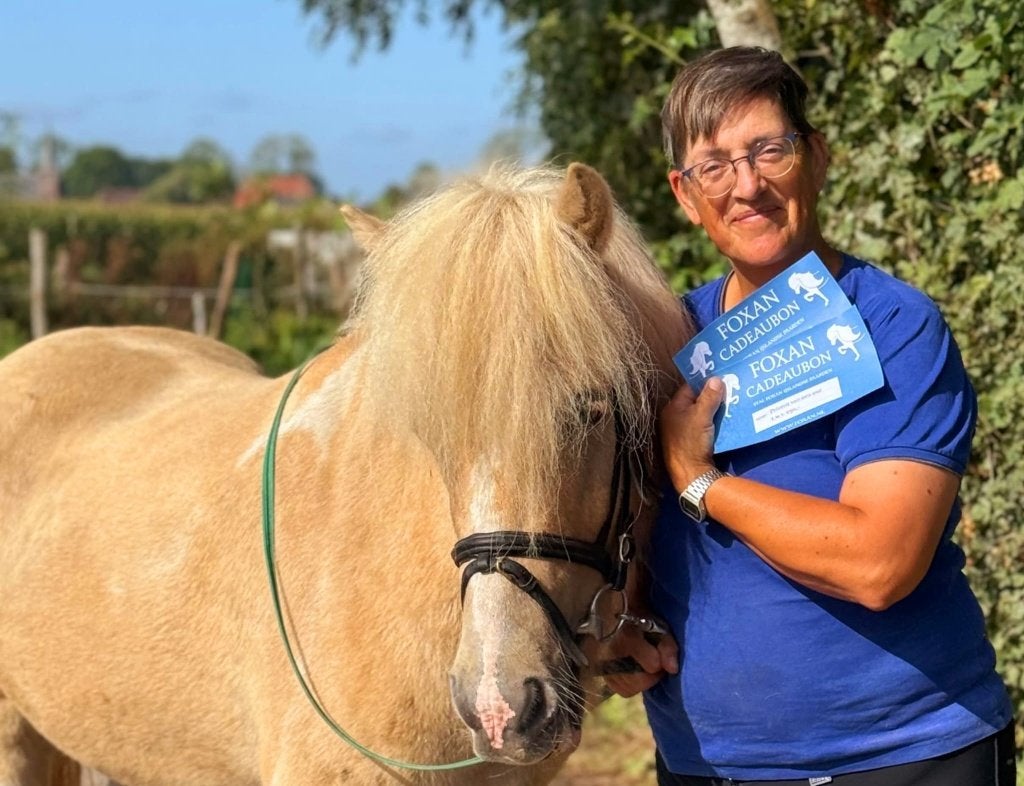 Bied mee op een mooie IJslander-ervaring, Diensten en Vakmensen, Paardrijles of Ponykampen