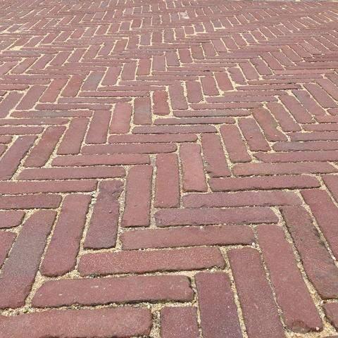 Gezocht ervaren stratenmaker, Ophalen of Verzenden, Nieuw, 20 m² of meer, Gras
