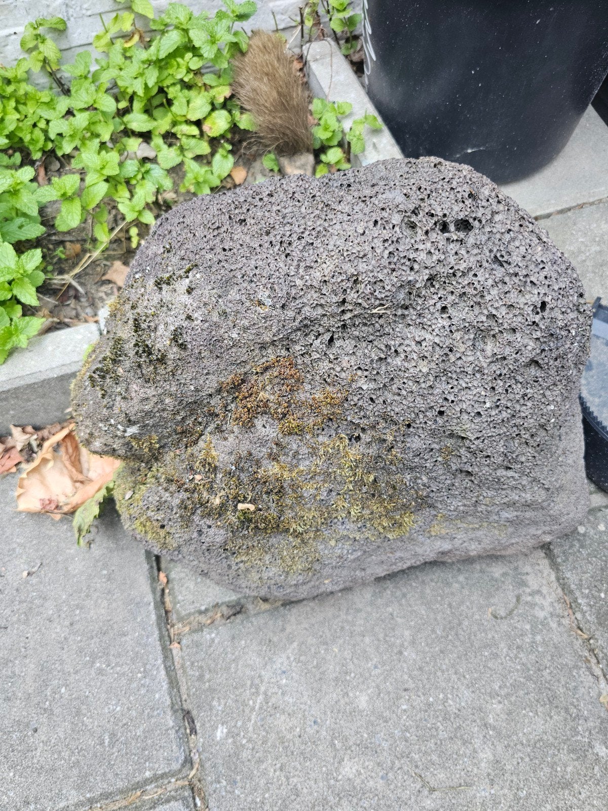 Grote lavasteen voor tuin of decoratie, Gebruikt, Ophalen of Verzenden, Kei, Lava