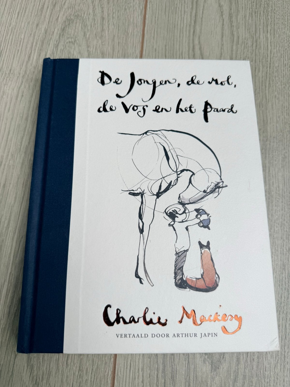 De Jongen, de Mol, de Vos en het Paard - Charlie Mackesy, Boeken, Ophalen of Verzenden, Zo goed als nieuw