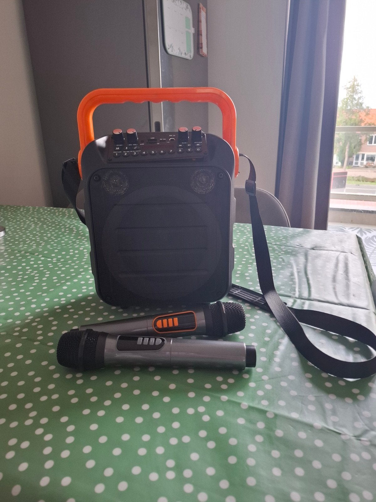 karaoke portátil met 2 mics
