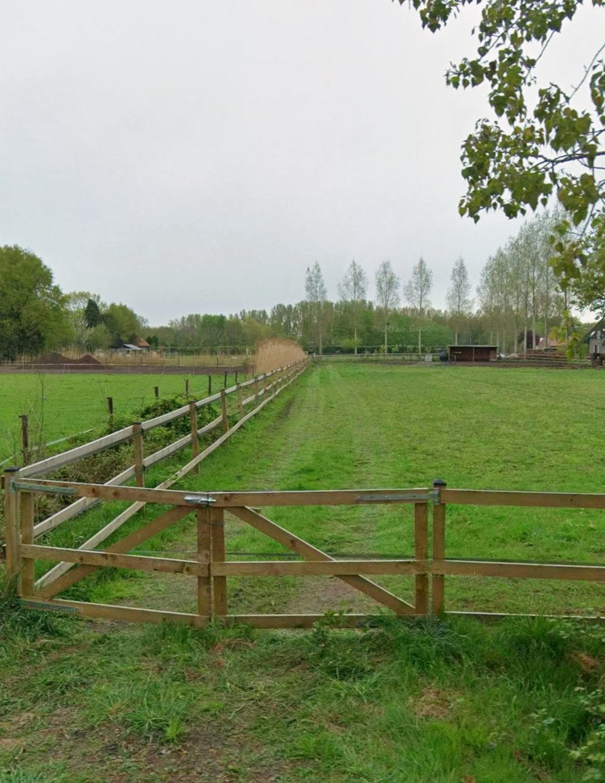 Weidegang met schuilstal dichtbij het bos!, Weidegang, 4 paarden of pony's of meer